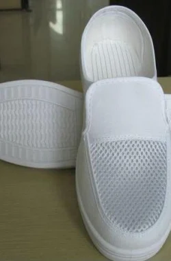 Anti Static Shoes